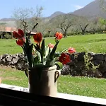 Il Castagneto *