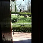 Il Castagneto *
