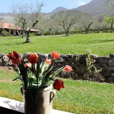 Il Castagneto Farm stay
