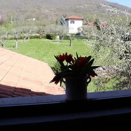 Farm stay Il Castagneto