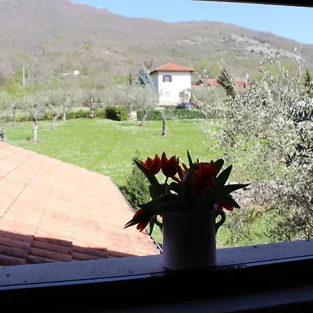 Farm stay Il Castagneto Padula