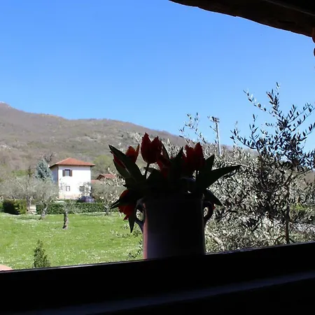 Il Castagneto