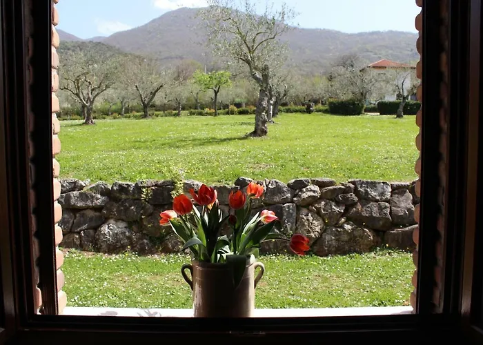 Il Castagneto Alloggio per agriturismo *